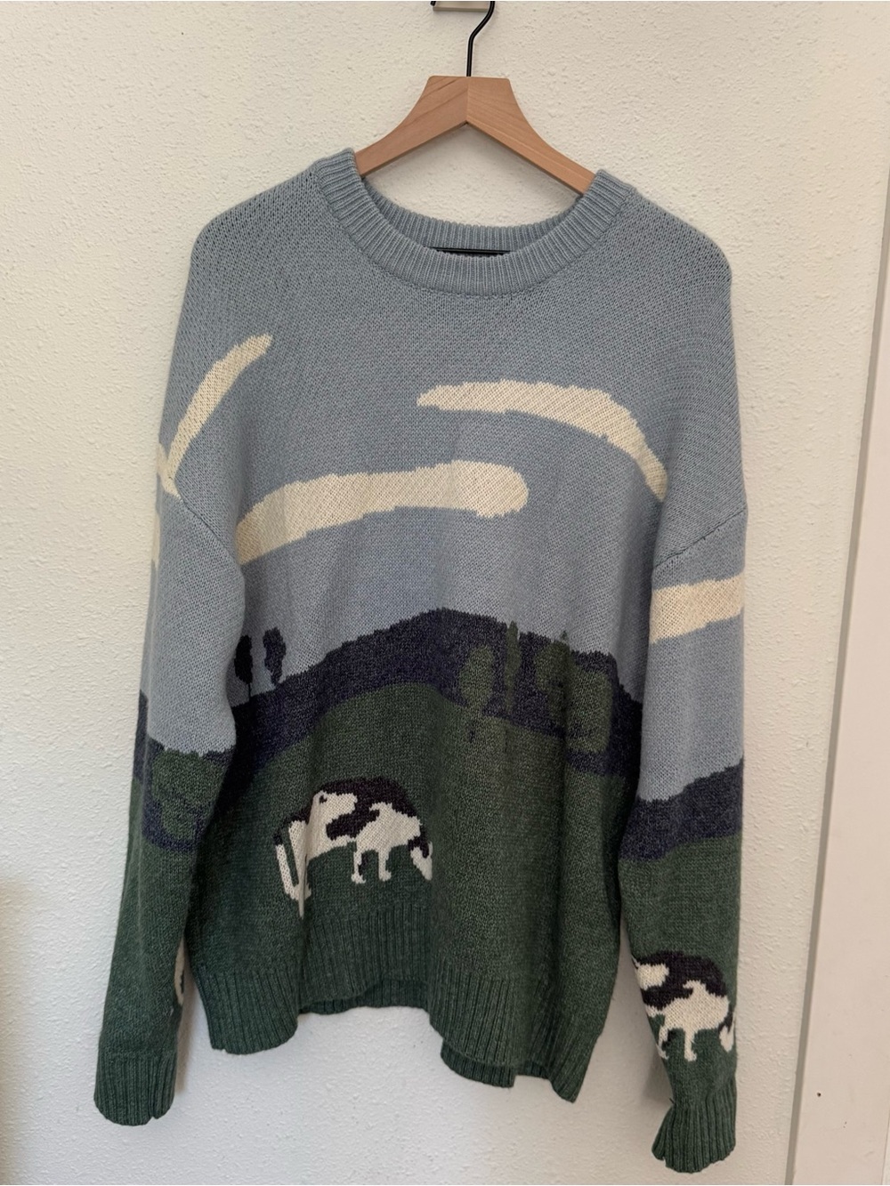 Amazon Women's Large Scenic Crewneck Sweater in Light Blue, Green and Cream